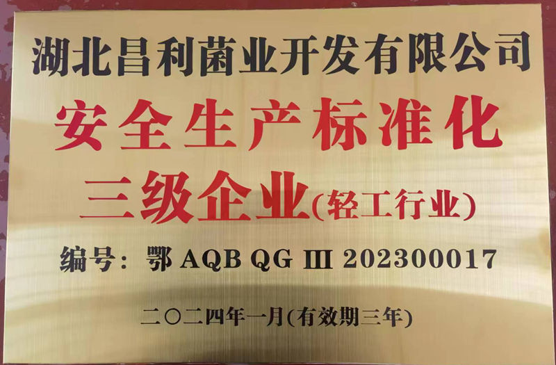清静生产标准化三级企业
