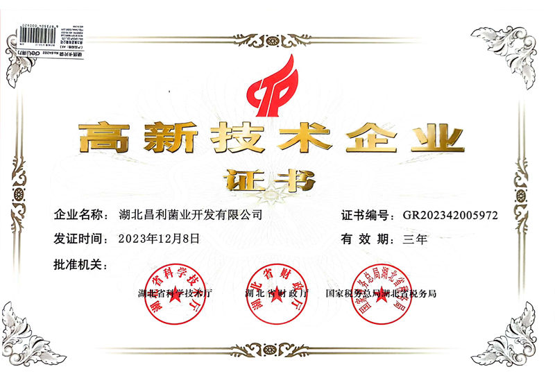 高新手艺企业
