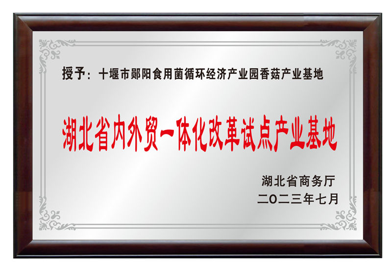 湖北省内外贸一体化刷新试点工业基地